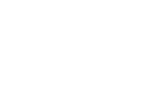 FyrBear 